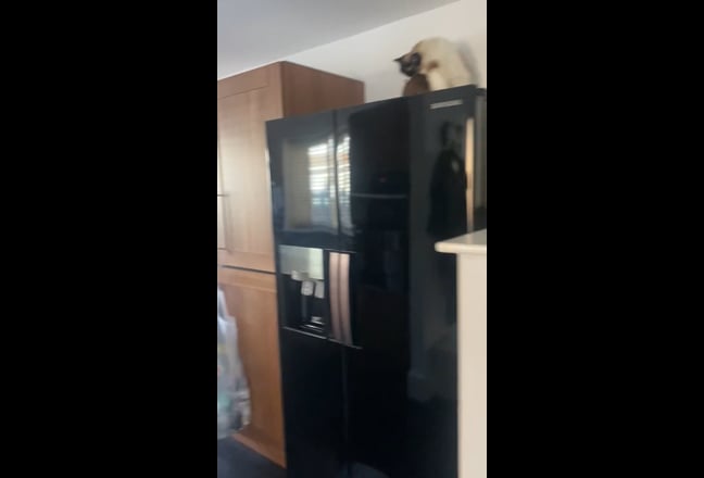 Single room in sought after area in Great Baddow Main Photo