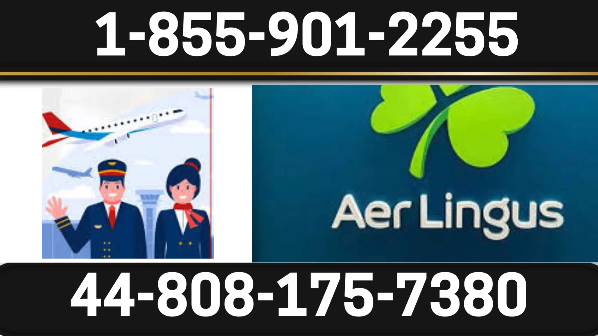 Aer Lingus&trade; Customer Service Official Guide || Step-by-Step Help & Support Aer Lingus