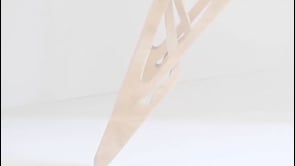 Vignette de la vidéo