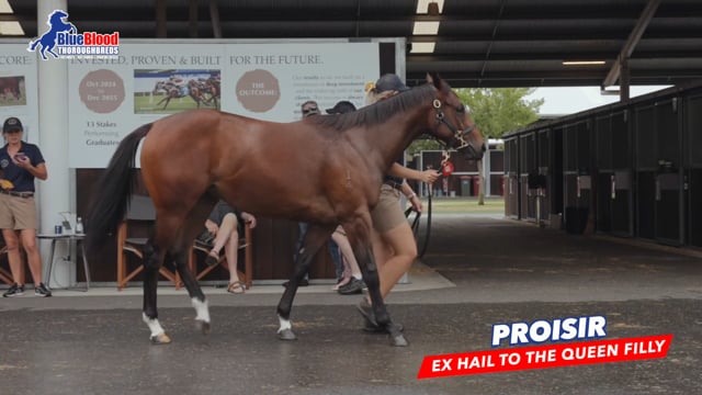 Proisir x Hail To The Queen F DAVID