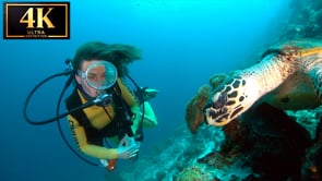 UNDERWATER SHORT FILM - The Girl From The Sea