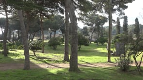 Es planten pins per regenerar el Parc del Creuet a Empúries