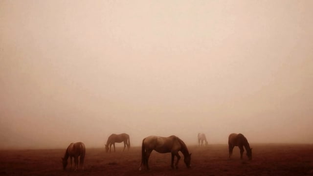 The Realm of Red Soil — Chinese New Year