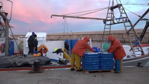 La confraria està satisfeta pel compromís del Conseller Ordeig