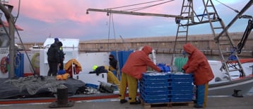 La confraria està satisfeta pel compromís del Conseller Ordeig