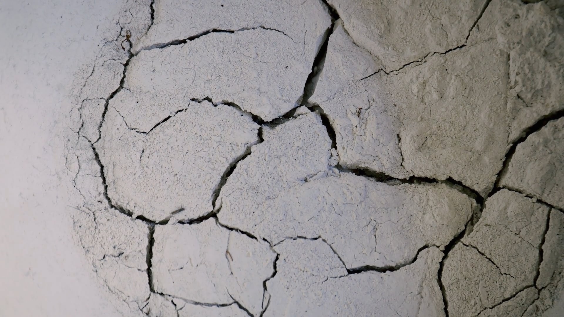 zona|disforme [risonanze] 3 franca mancinelli