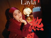 Related Embedded Video Item Thumbnail