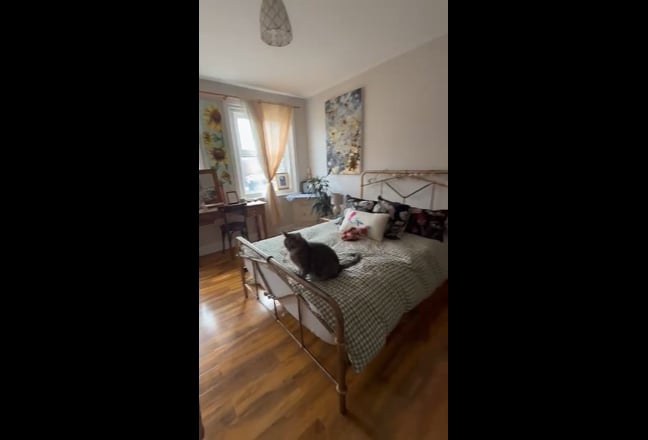 Room in Warm, Community-Minded Home – Tuckton BH6 Main Photo