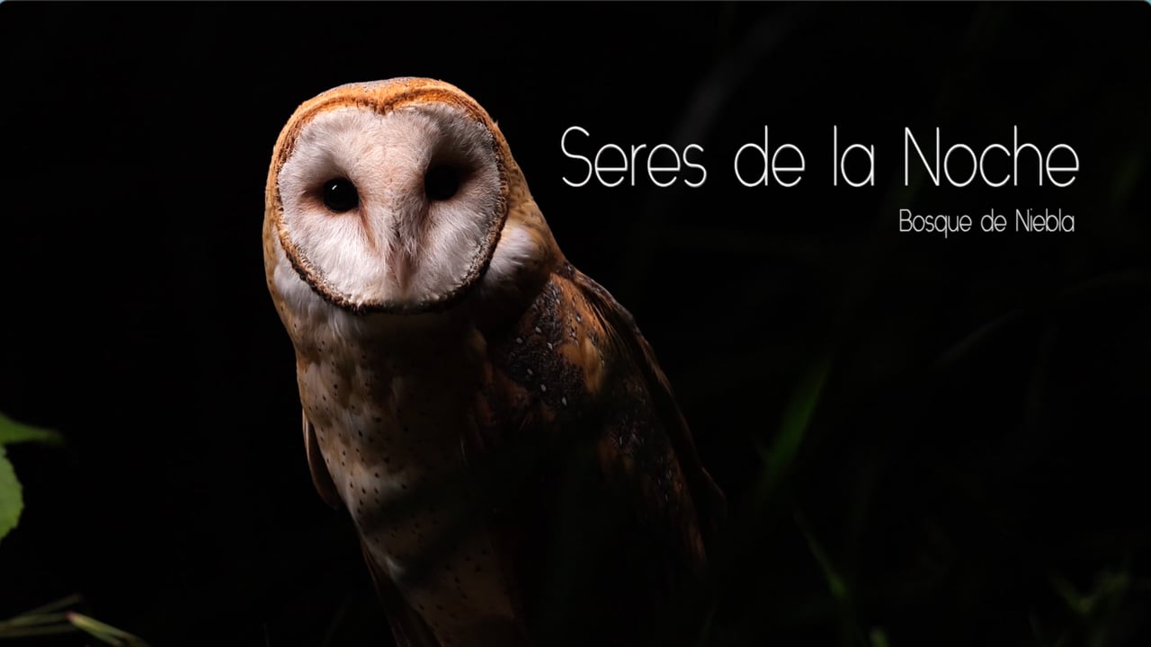 Documental Seres de la Noche