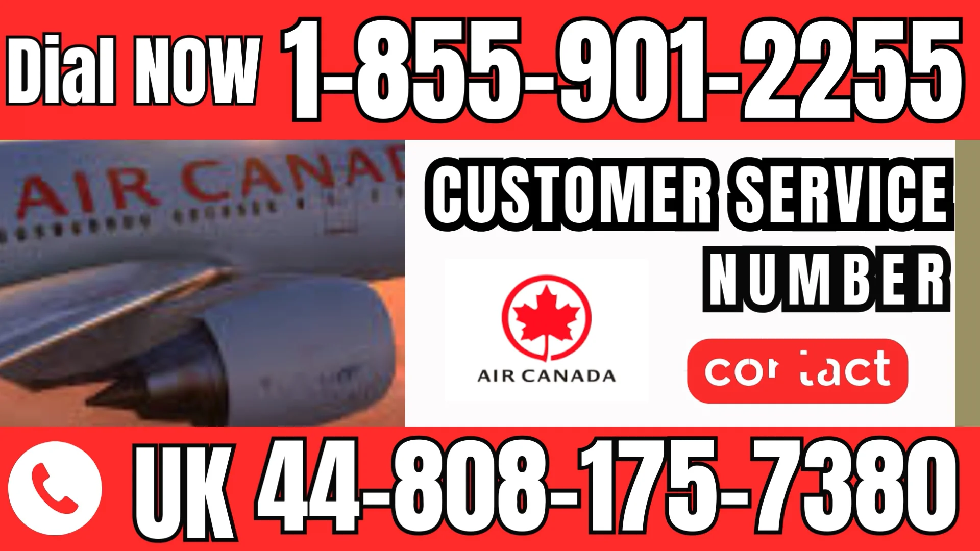 {Official} QATAR Airways&trade;&reg; Customer Service Guide | Step-by-Step Help & Support Explained