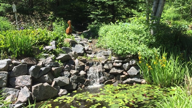 Gneiss Waterfall