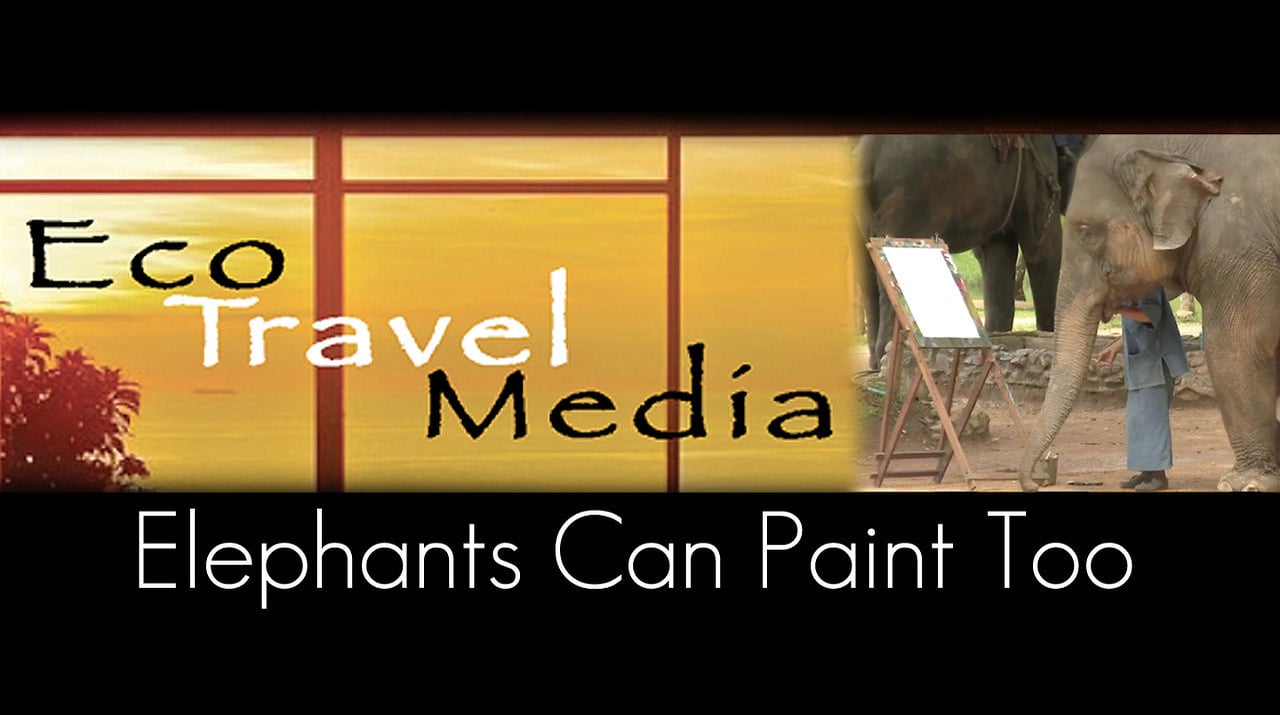 Eco Travel Media Elephants Can Paint Too on Vimeo