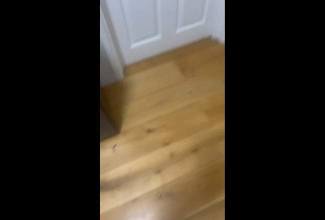 1 Studio Available with own bathroom  Main Photo