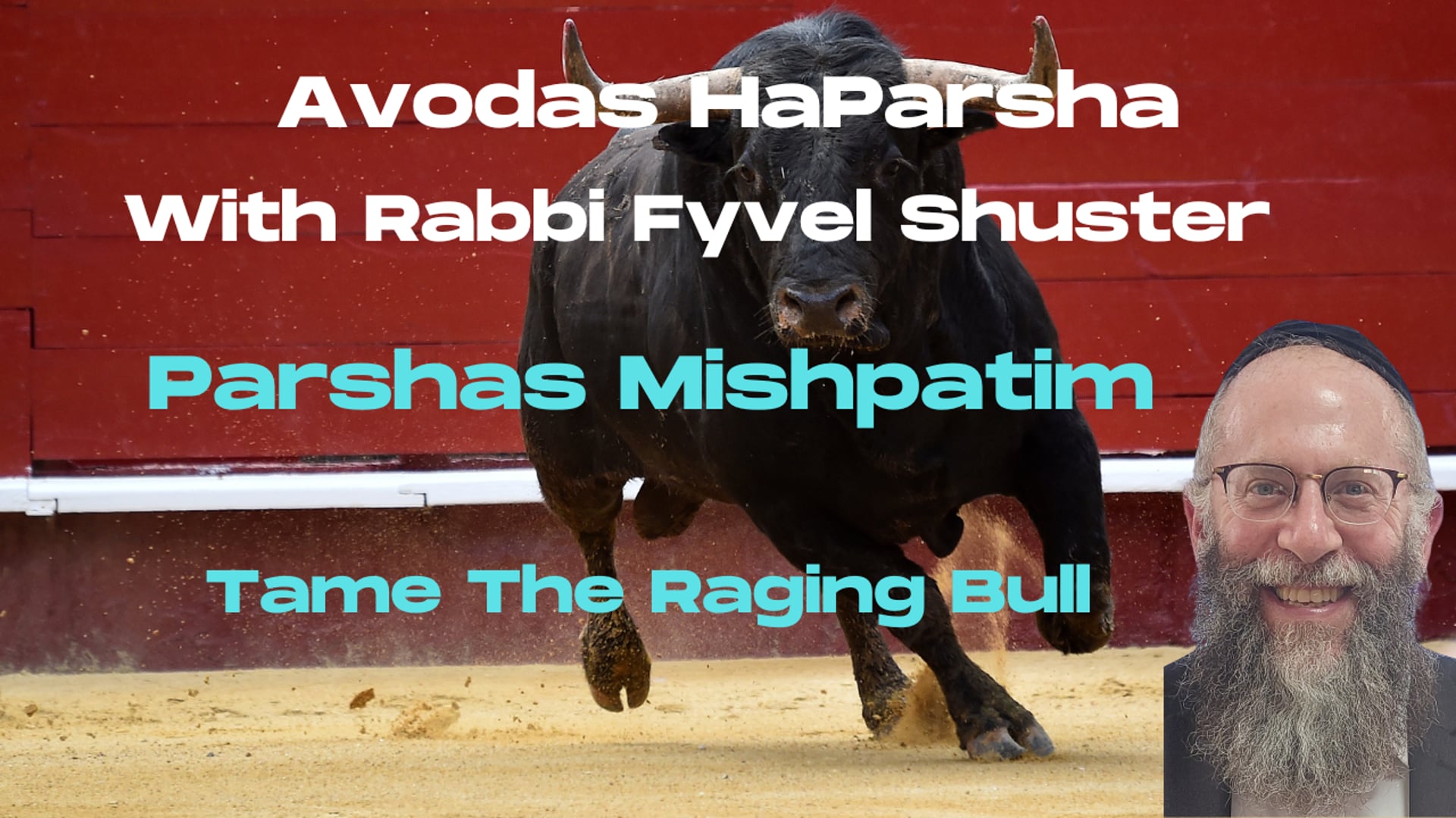 Tame The Raging Bull - Avodas HaParsha Parshas Mishpatim