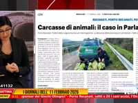 Prima Mattina News - Cimitero di cani uccisi, parla il Comandante Cecchini