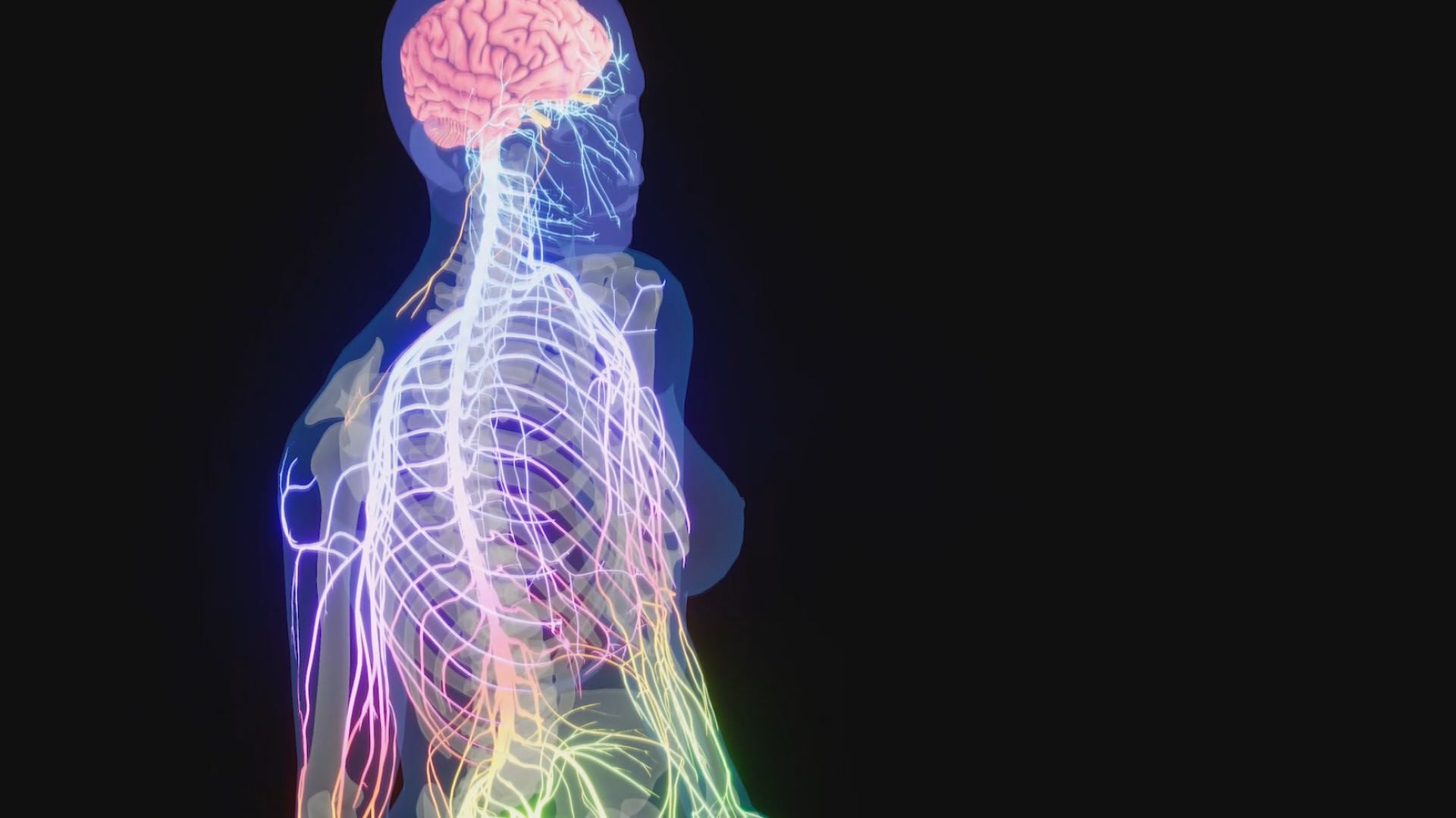 Miastenia grave: in Emilia-Romagna nuova terapia innovativa per l’autosomministrazione domiciliare