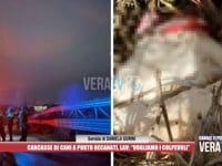 Porto Recanati - Carcasse di cani nel cimitero degli orrori, Lav: "Vogliamo i colpevoli"