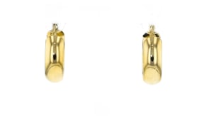 10kt Yellow Gold Hoop Earrings
