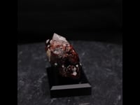 79035 - Andradite Garnet, Quartz