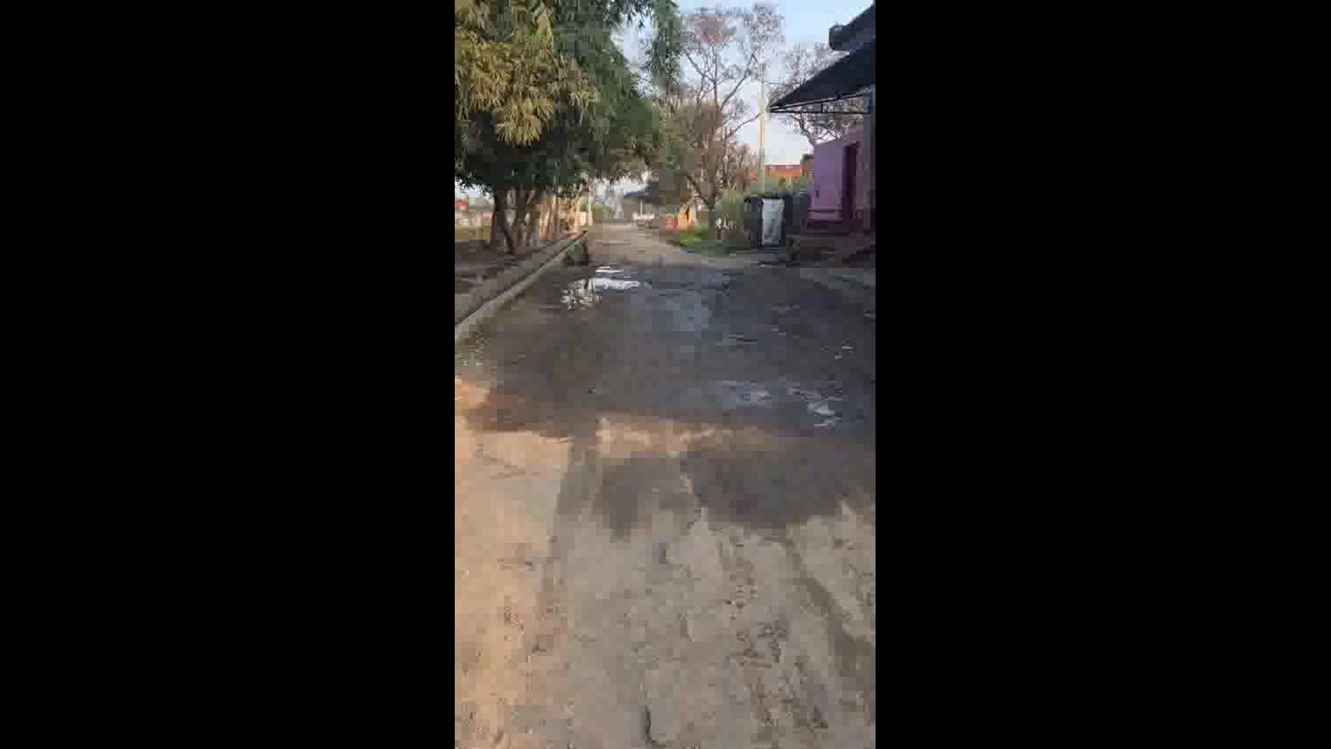 पीलीभीत : कुर्रैया की सड़कें बनीं ग्रामीणों की सबसे बड़ी मुसीबत, अस्पताल तक पहुंचना भी जान जोखिम में डालने जैसा