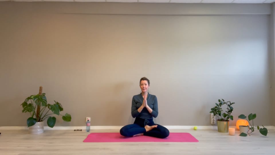 60 min basic - ryggrad, twist og bein