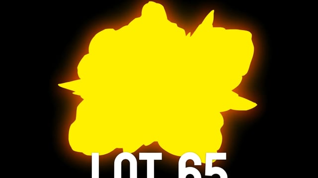 Lot 65