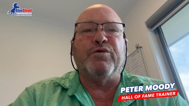 Pierata x Goldylux C MOODY