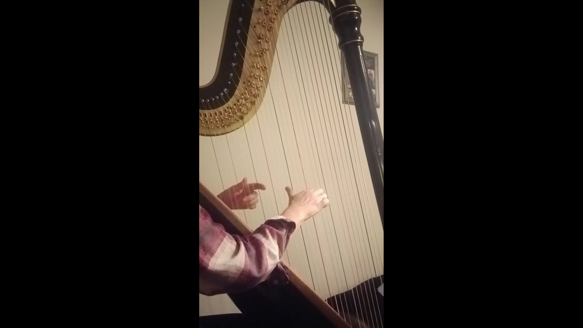 Promotional video thumbnail 2 for Upstate Harpist