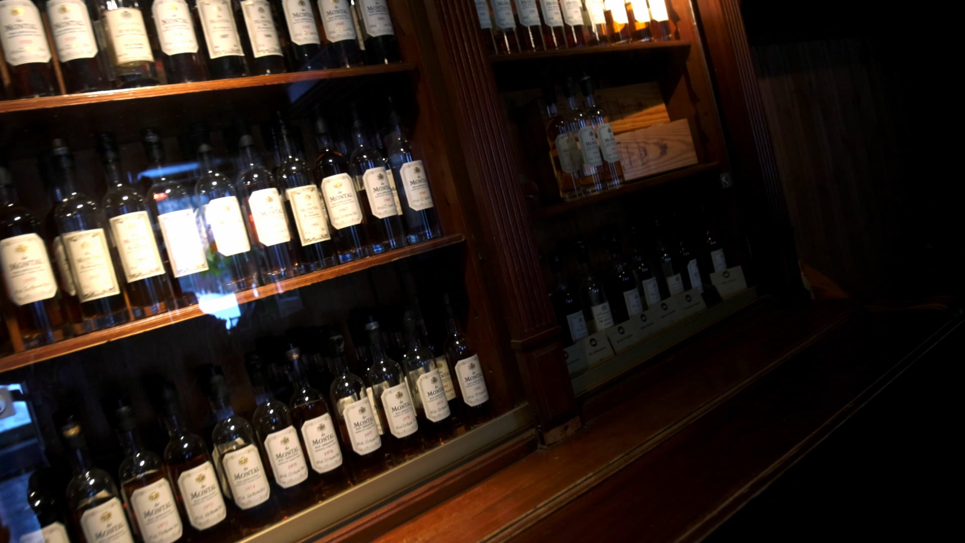 Paligo Momentum Conference Final V2