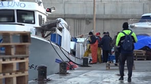 45 projectes optaran a les subvencions del GALP pel 2026