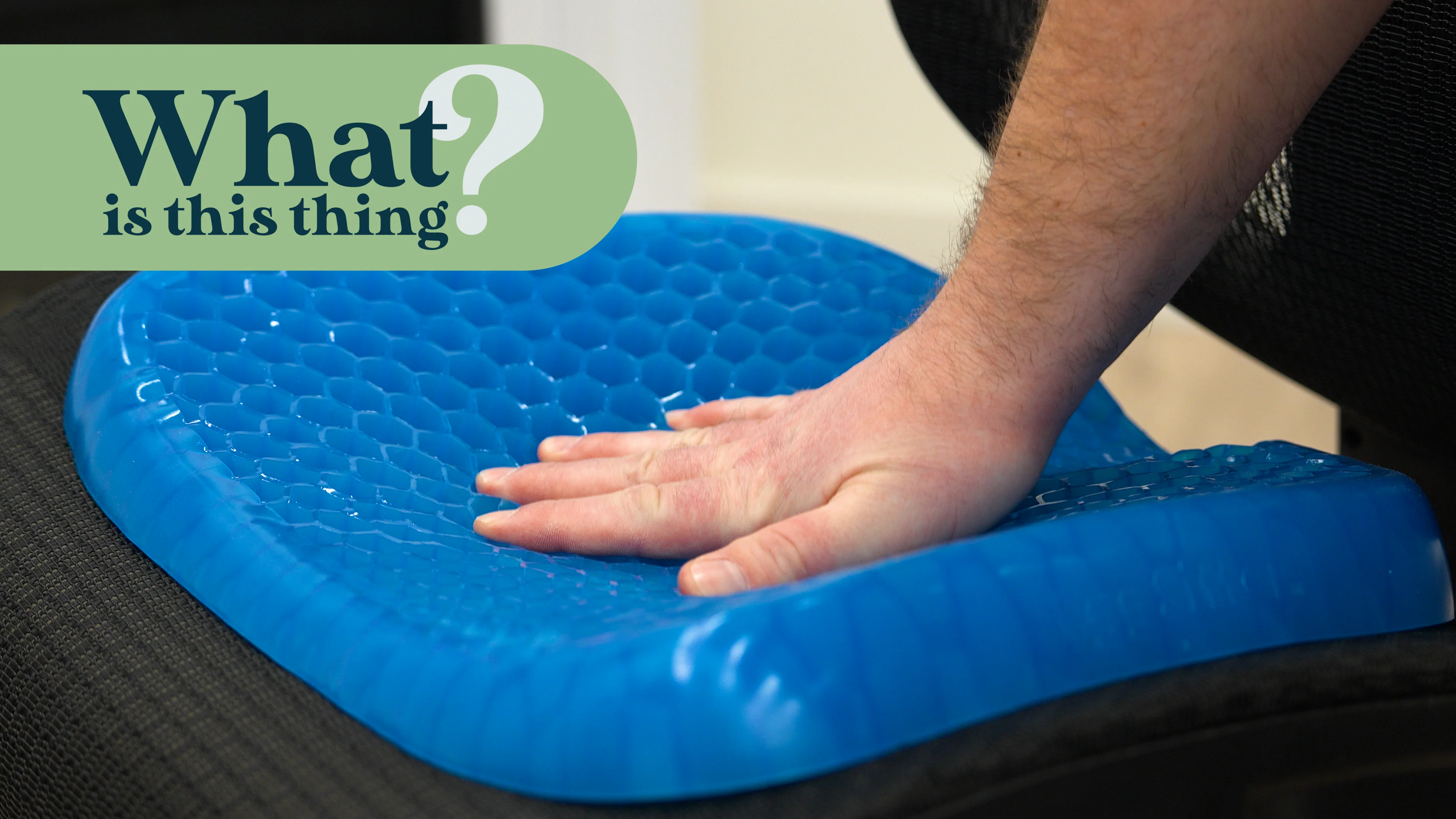 Egg Sitter Seat Cushion
