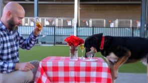 Pet Circle Valentines - 2026