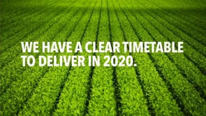 Whole Foods Timeline