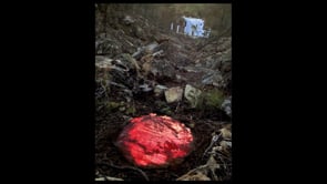 Vignette de la vidéo