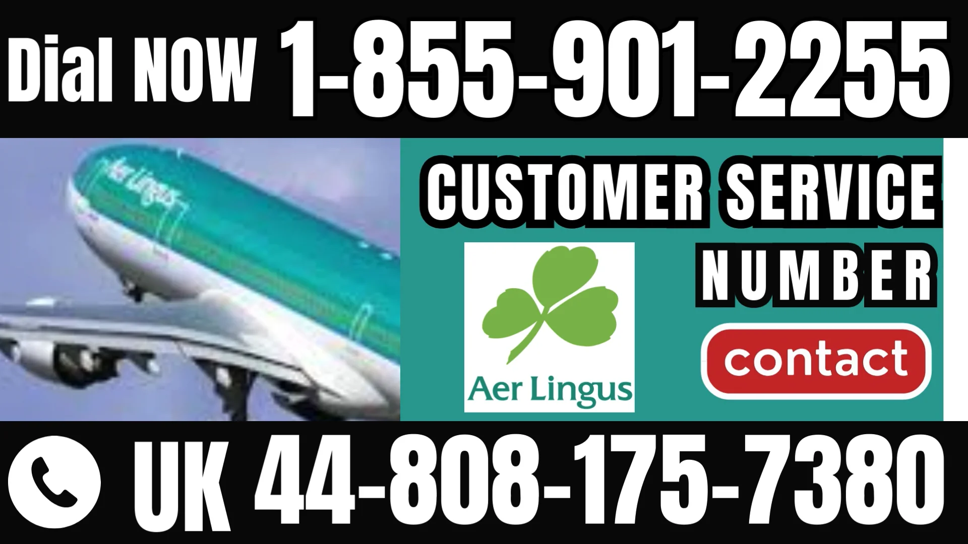 Official Aer Lingus&reg; Customer Service: How to Contact Aer Lingus&reg; | 24/7 Live Help & Support