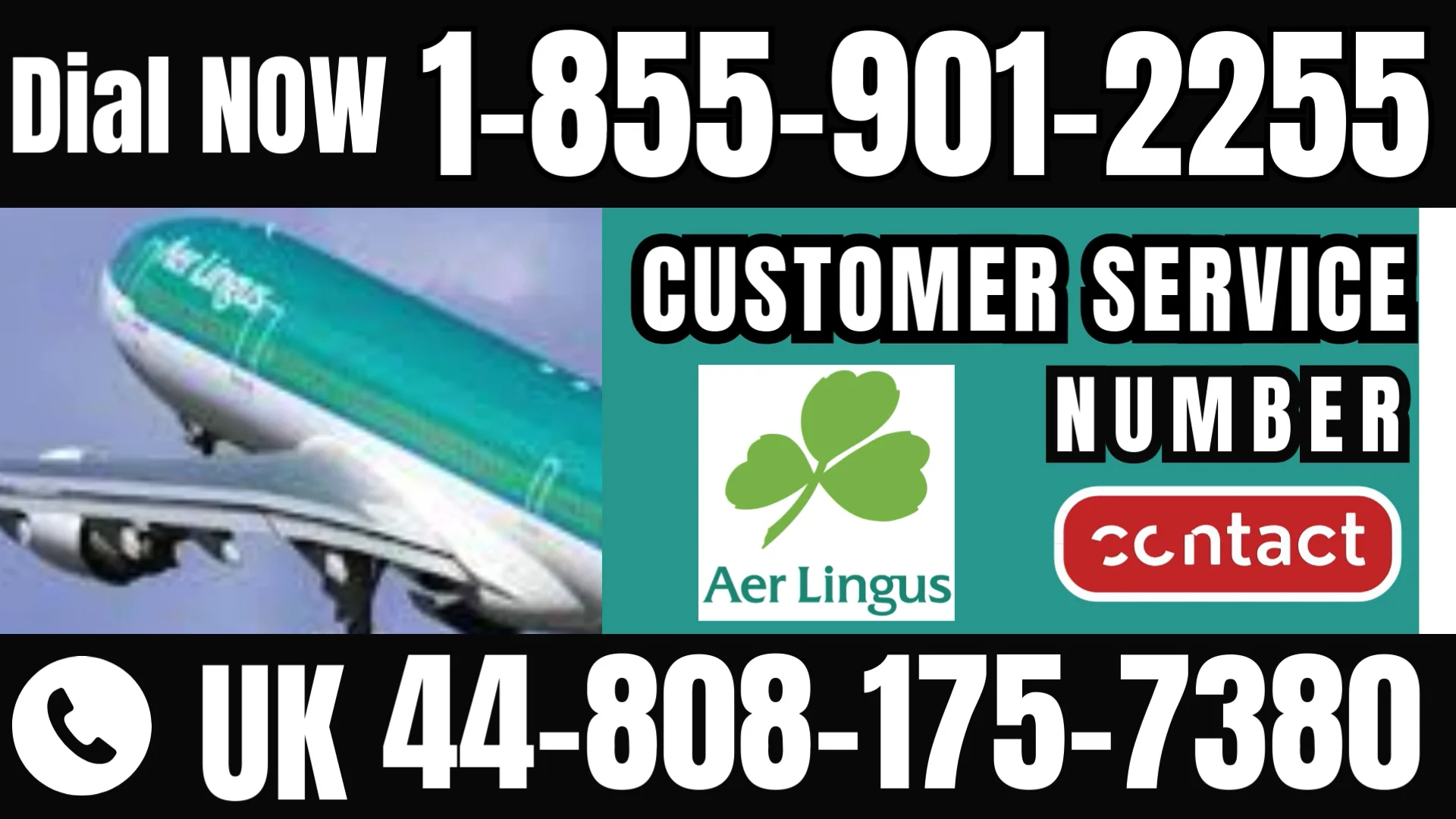 Official Aer Lingus&reg; Customer Service: How to Contact Aer Lingus&reg; | 24/7 Live Help & Support