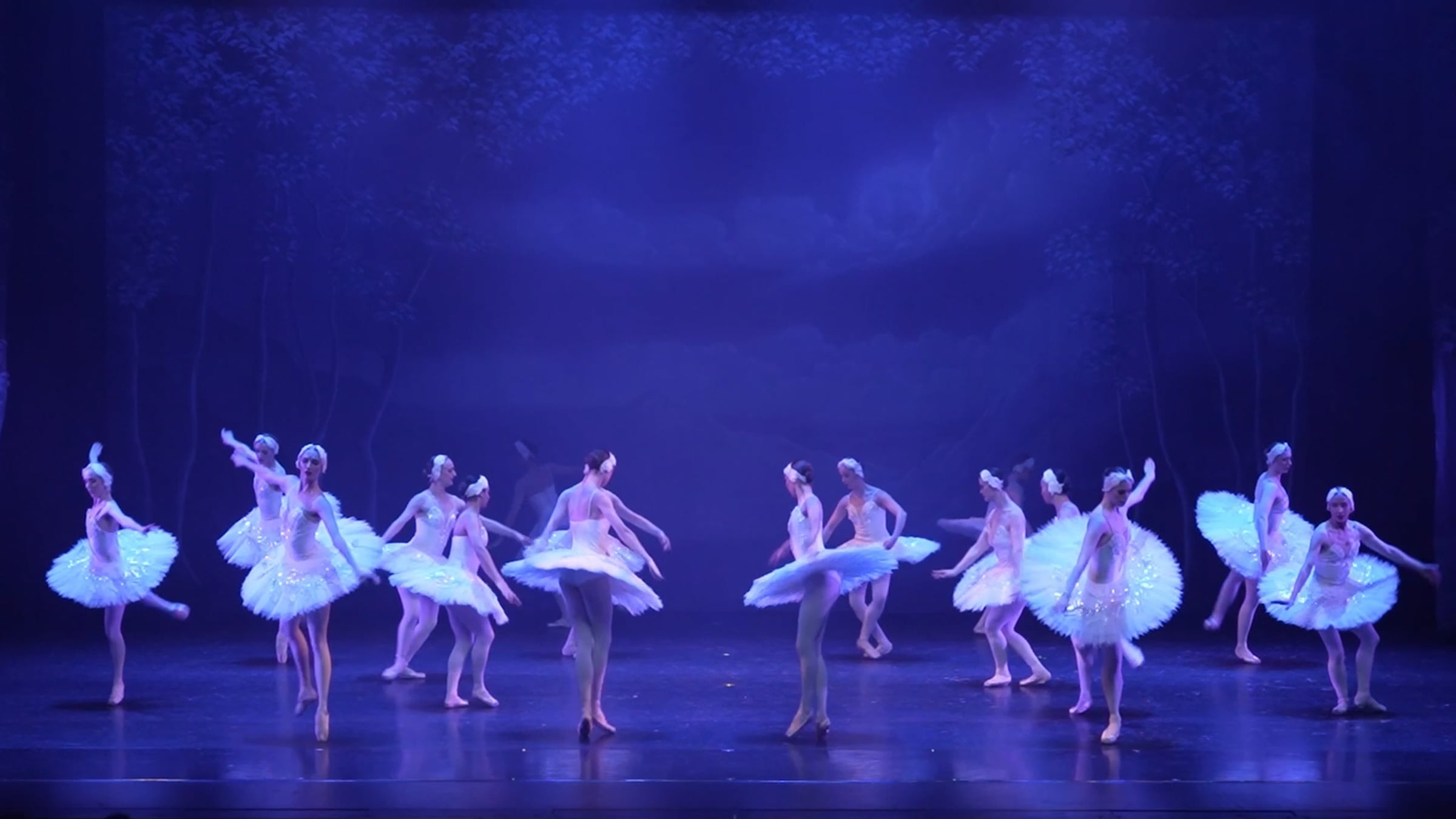 Swan Lake - Final Promo | Videos & Movies on Vimeo