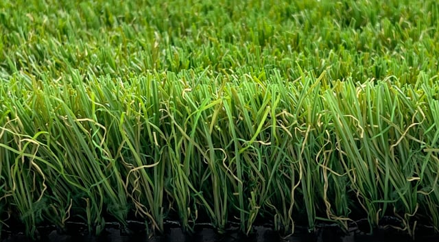 Video Kunstgras President