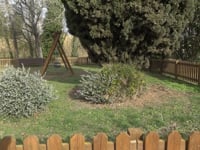 ERC celebra la creació d'una zona d'esbarjo per a gossos