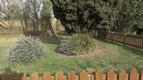 ERC celebra la creació d'una zona d'esbarjo per a gossos