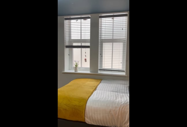 Stylish Spacious Studio for  Single Professional Main Photo