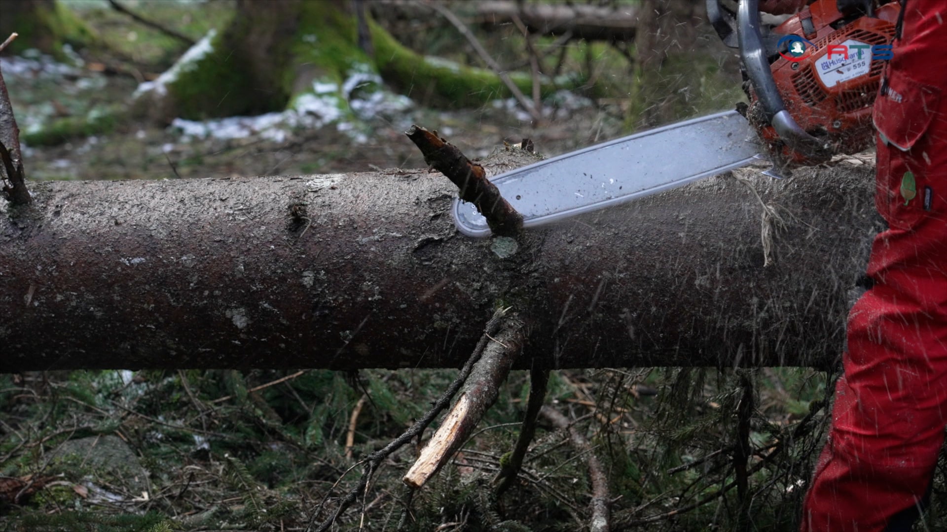 56-waldbauerntag-forstwirtschaft-in-zeiten-des-klimawandels