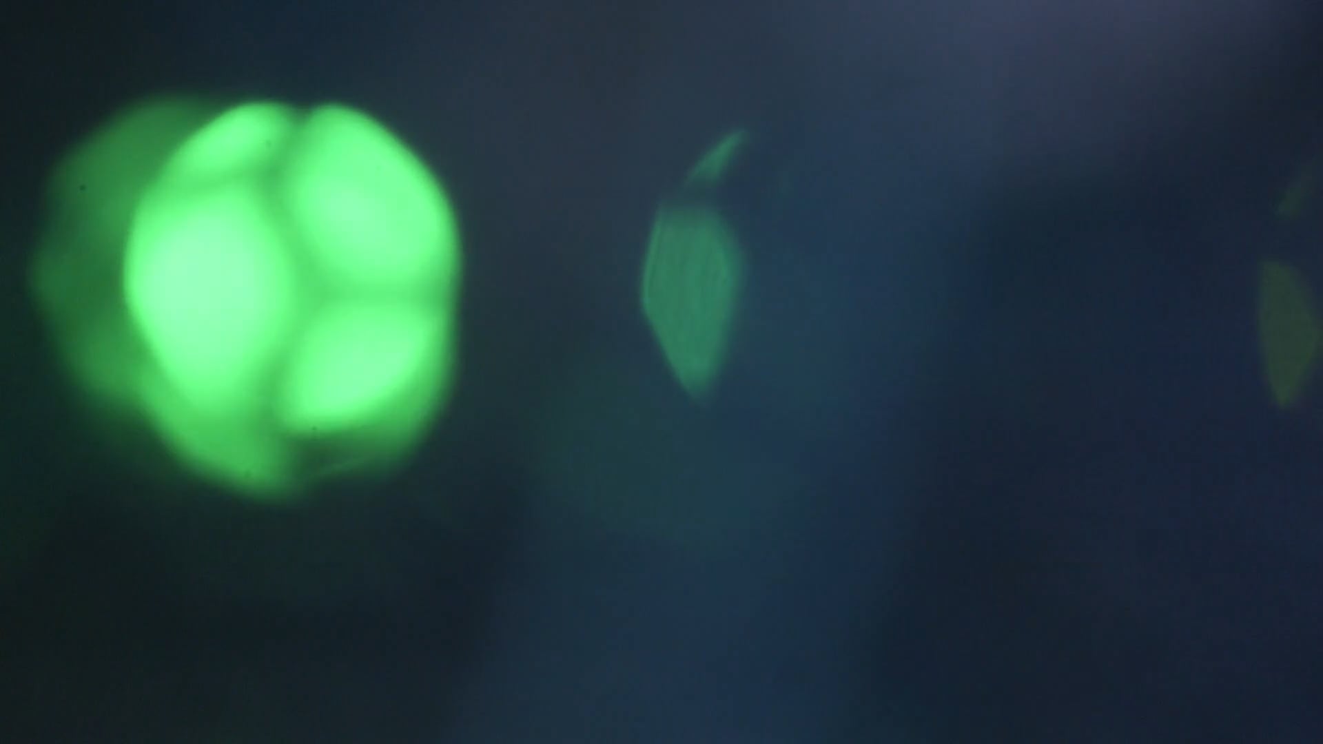 Dialogo tra industria ed Europa del futuro