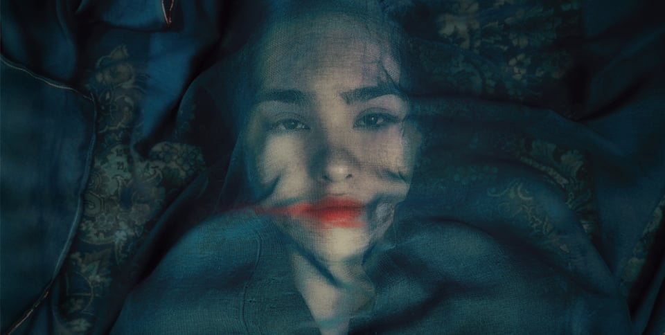 Critique A fox Under a Pink Moon