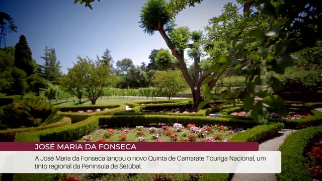 EP 74 | Not&iacute;cias do Enoturismo