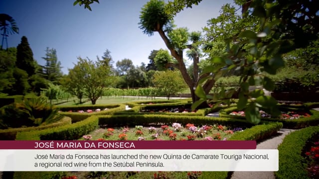 EP 74 | Wine Tourism News