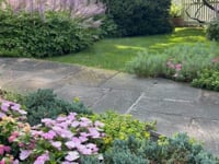 Mid Summer Garden with Astilbe & Hosta, New Rochelle, NY