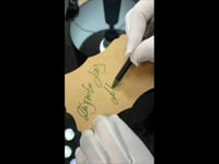 video_2026-02-13_22-33-06