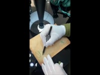 video_2026-02-13_22-38-05