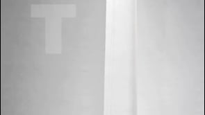 Vignette de la vidéo